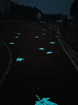 天津夜光地坪